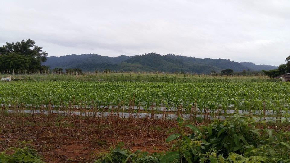Dachatorn Village Khao Lak Exterior photo